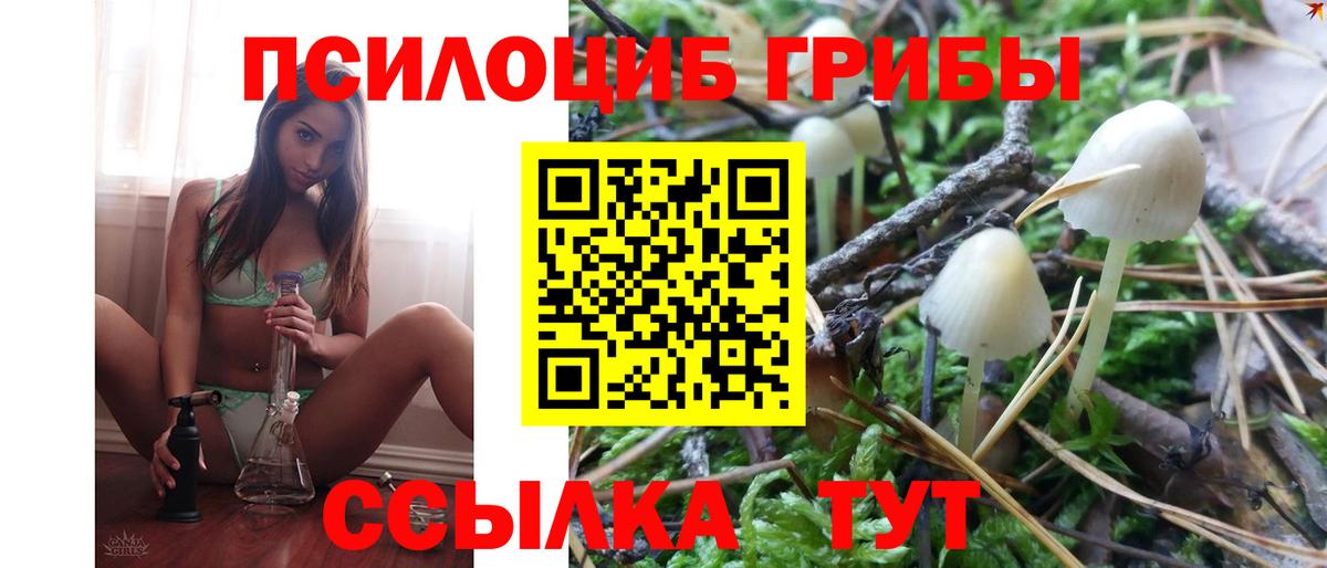 Псилоцибиновые грибы ЛСД Сокол