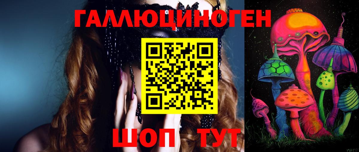 Сокол  Галлюциногенные грибы Psilocybine cubensis  купить наркотик  Вход с VPN 